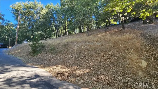 72 Park Drive, Running Springs, CA 92382 - #2