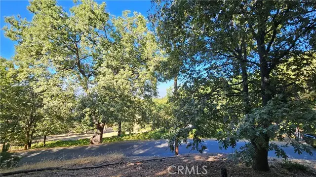 72 Park Drive, Running Springs, CA 92382 - #3