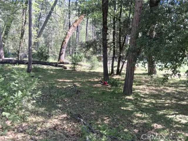 8 S Cascadel Drive, North Fork, CA 93643 - Image #3