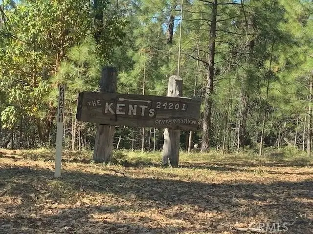 24201 Canterbury Road, Pioneer, CA 95666 - Image #3