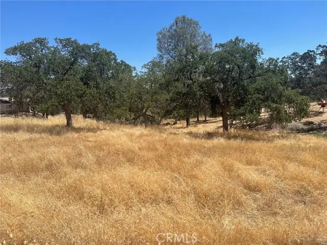 0 Horseshoe, Coarsegold, CA 93614 - Image #1