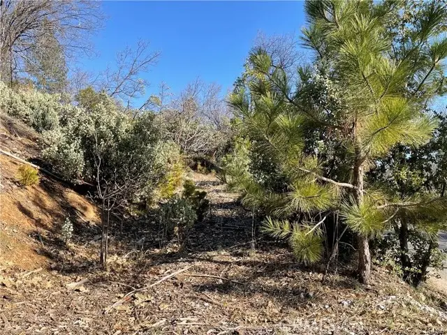 59479 Cascadel Drive, North Fork, CA 93643 - Image #2