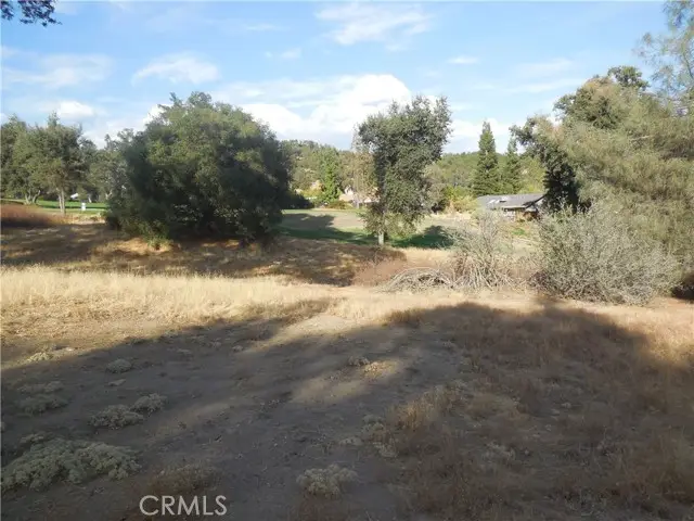 #3