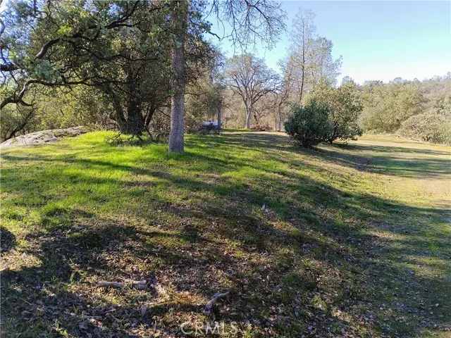 0 Deep Forest Drive, Coarsegold, CA 93614 - Image #2
