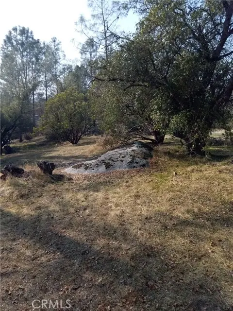 0 Deep Forest Drive, Coarsegold, CA 93614 - Image #3