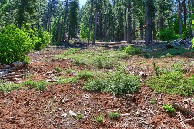 7420 Henness Ridge Road, Yosemite West, CA 95389 - Image #3