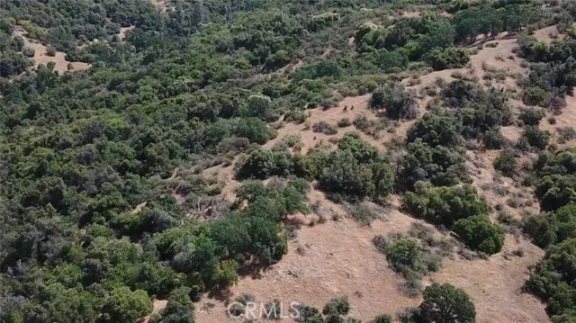 8 Acres, Miramonte, CA 93641 - #1