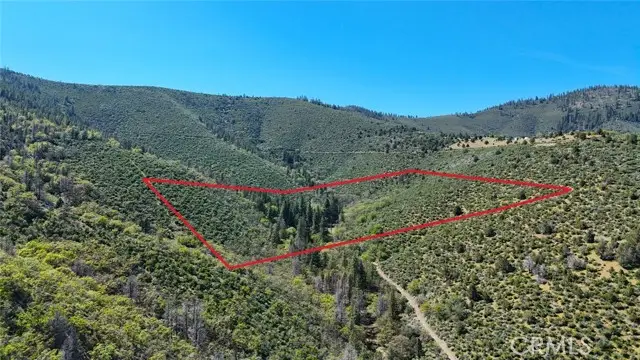 40 Scarface, Gazelle, CA 96034 - Image #2