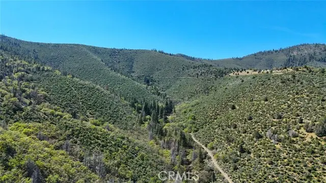 40 Scarface, Gazelle, CA 96034 - Image #3