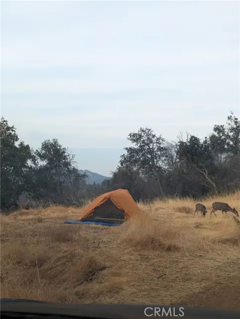 4548 Triangle Road, Mariposa, CA 95338 - Image #2