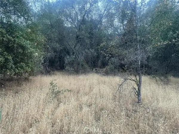 43020 Apache Ranch Road, Ahwahnee, CA 93601