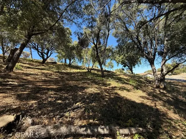5710 Clouds Rst, Mariposa, CA 95338 - Image #3