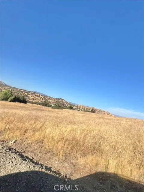 #3