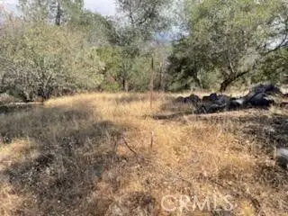 123 Jennifer Way, Coarsegold, CA 93614 - Image #1