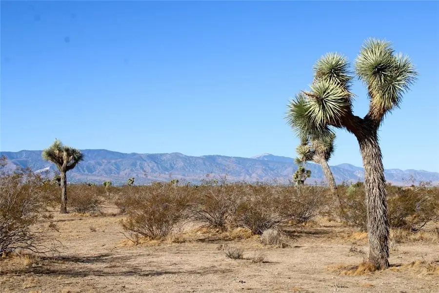 6720 Sacramento Road, Phelan, CA 92371 - Image #2