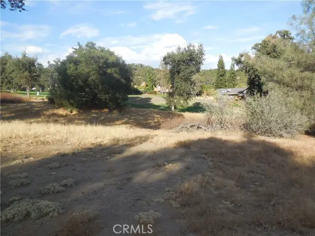 1 Griffin Drive, Oakhurst, CA 93644 - Image #3