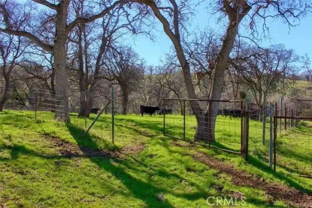 160 Ac Cotton Creek Rd, Mariposa, CA 95338 - Image #3
