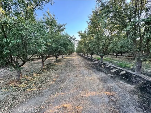 0 N Palm, Wasco, CA 93280 - Image #3