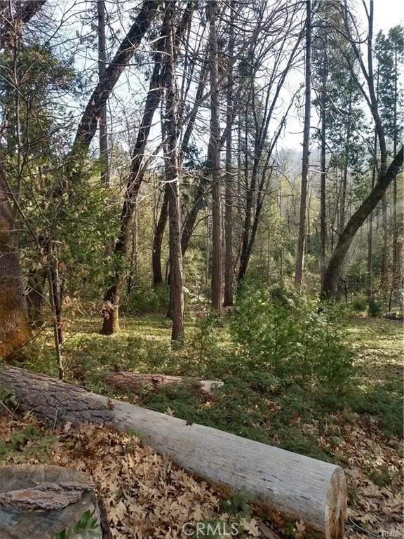 8 Cascadel, North Fork, CA 93643 - Image #3