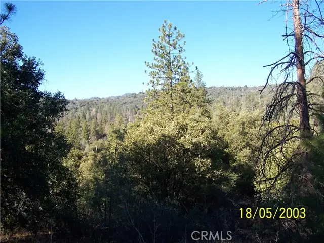 10 Jean Rd West, Oakhurst, CA 93644 - #2