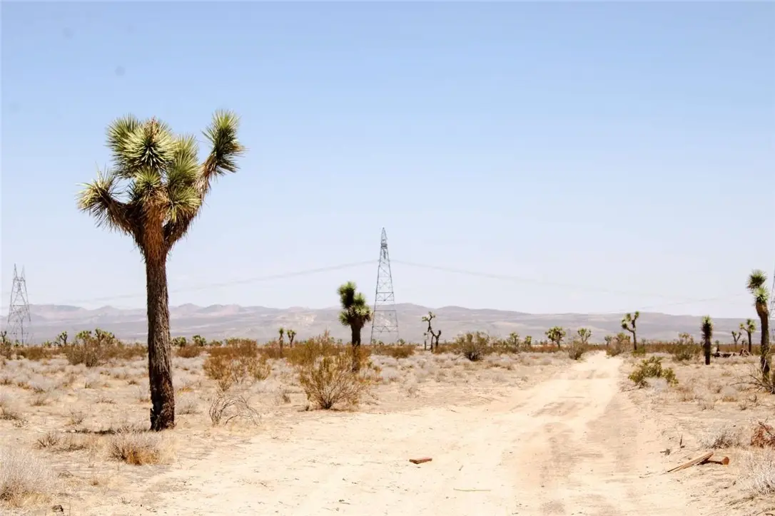 16999 Holly Road, Phelan, CA 92371 - #1