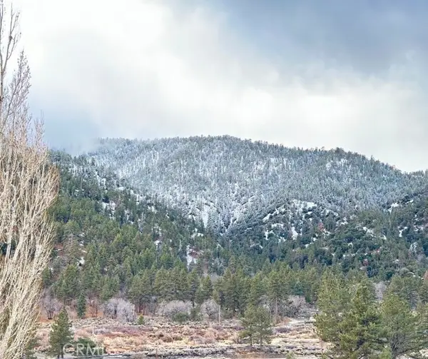 26601 Big Pines, Wrightwood, CA 92397