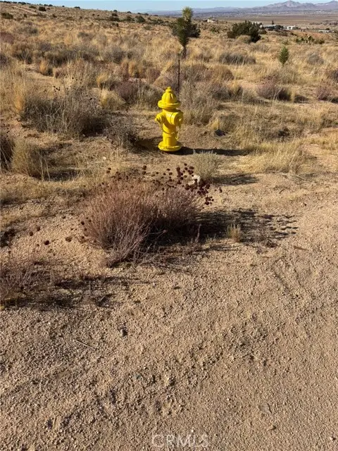 #2