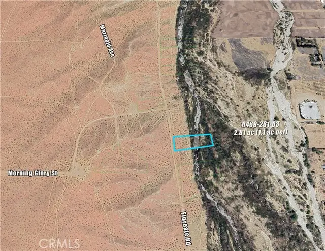 0 Floreate Road, Oro Grande, CA 92368 - #1