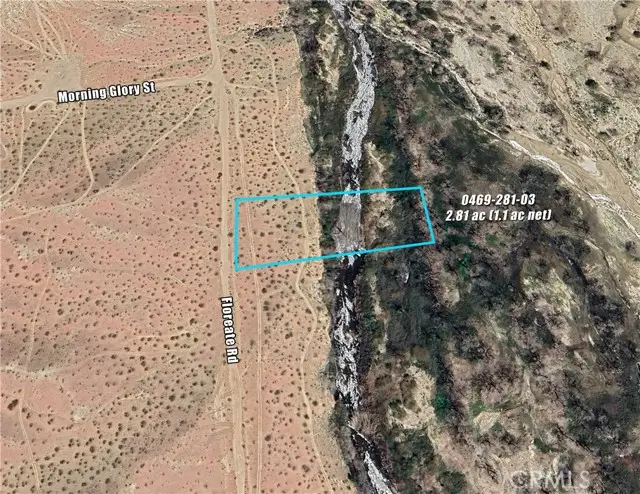 0 Floreate Road, Oro Grande, CA 92368 - #2