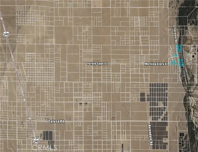 0 Floreate Road, Oro Grande, CA 92368 - #3