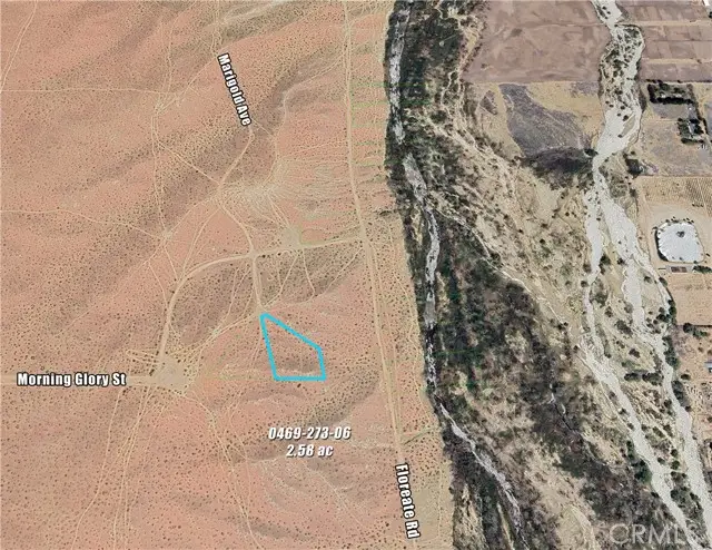 0 Marigold Avenue, Oro Grande, CA 92368 - #1