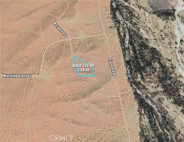 0 Marigold Avenue, Oro Grande, CA 92368 - #2