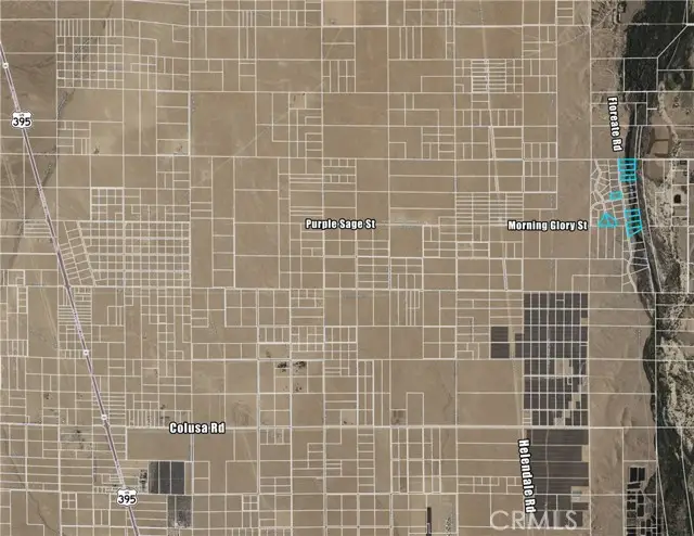 0 Marigold Avenue, Oro Grande, CA 92368 - #3