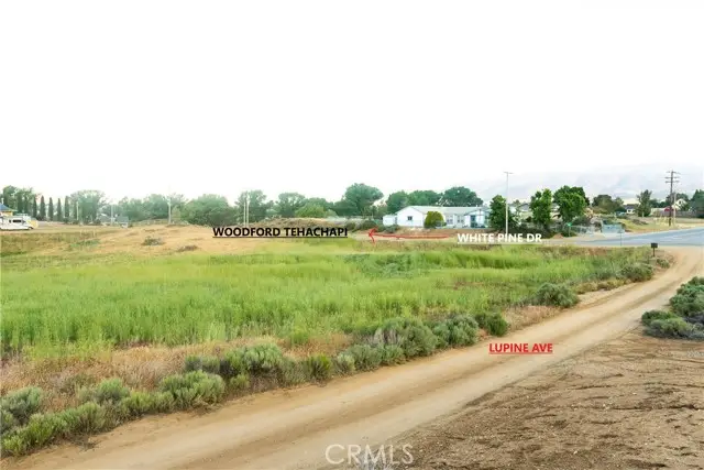 219 Lupine, Tehachapi, CA 93561 - Image #2