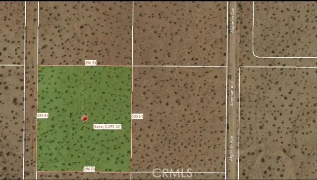0 Near Algoman, Lucerne Valley, CA 92356 - Image #1