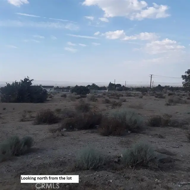 9697 Highway 138, Pinon Hills, CA 92372 - Image #2