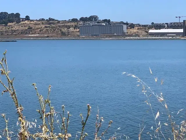 0 Ingerson Avenue, San Francisco, CA 94124 - #2