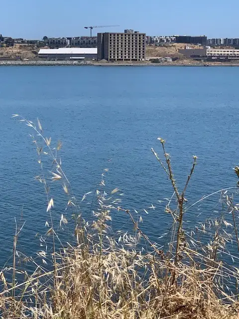 0 Alvarado Street, San Francisco, CA 94110 - Image #3