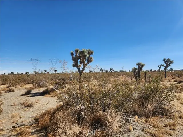 0 Colorado Road, Pinon Hills, CA 92372 - #3