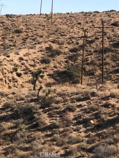 26637 Santa Rosa Road, Apple Valley, CA 92308 - Image #3