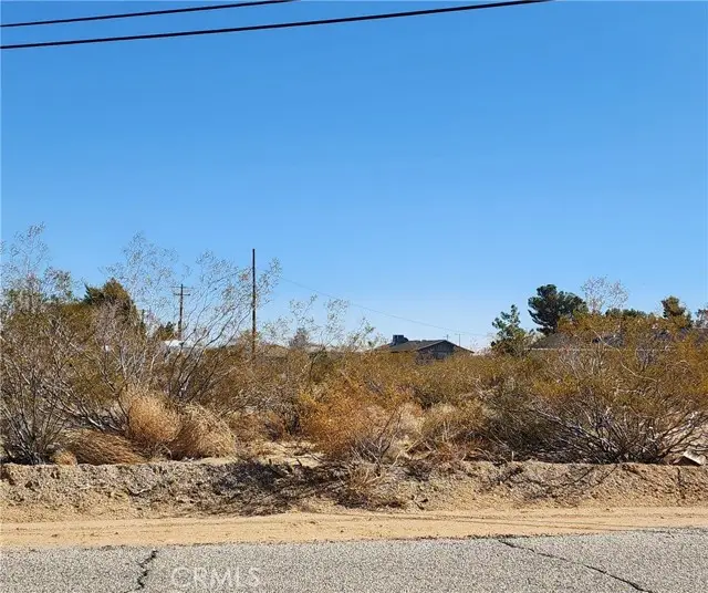 501 Sharon Avenue, Lucerne Valley, CA 92356 - Image #2