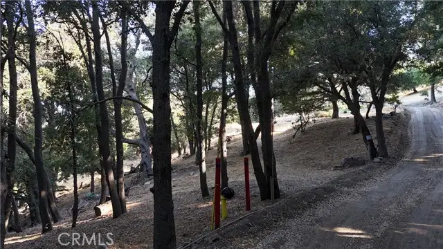 #3