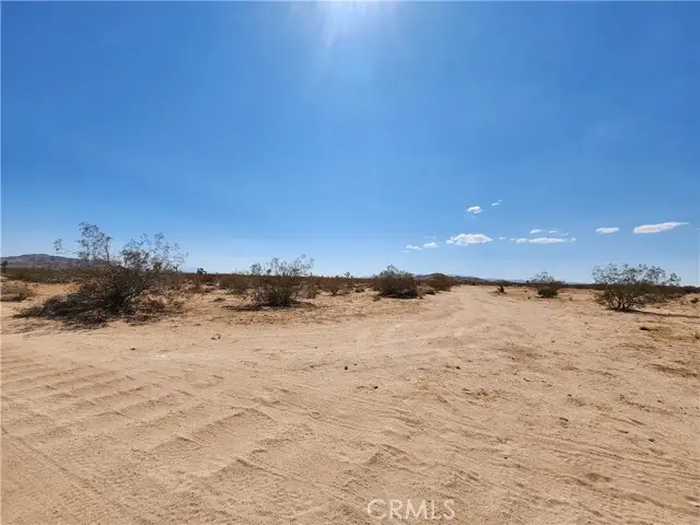 2025 Mcgarry Road, Joshua Tree, CA 92252 - Image #3