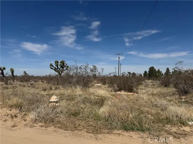 0 Del Rosa, Phelan, CA 92371 - Image #3