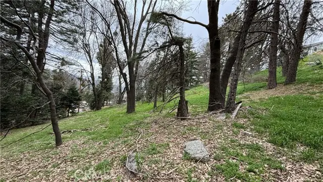 757 Scenic View Drive, Crestline, CA 92325 - Image #2