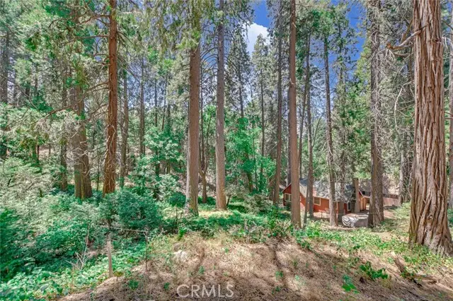 590 Electra Drive, Crestline, CA 92325 - Image #2