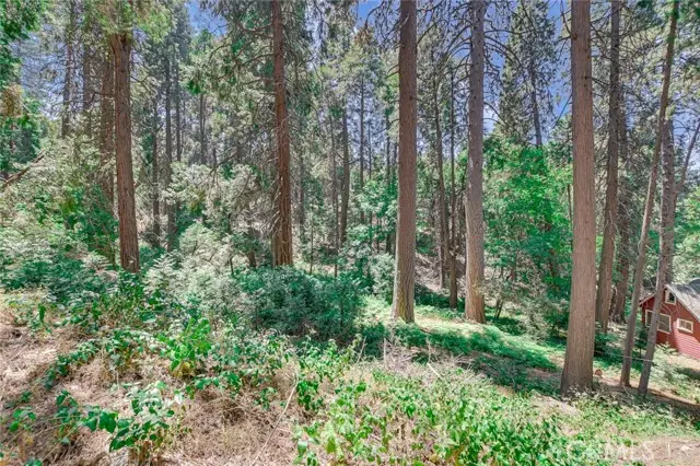 590 Electra Drive, Crestline, CA 92325 - Image #3