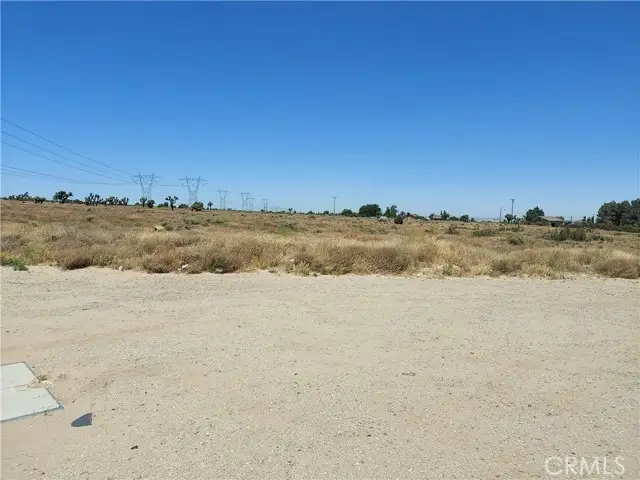 #3