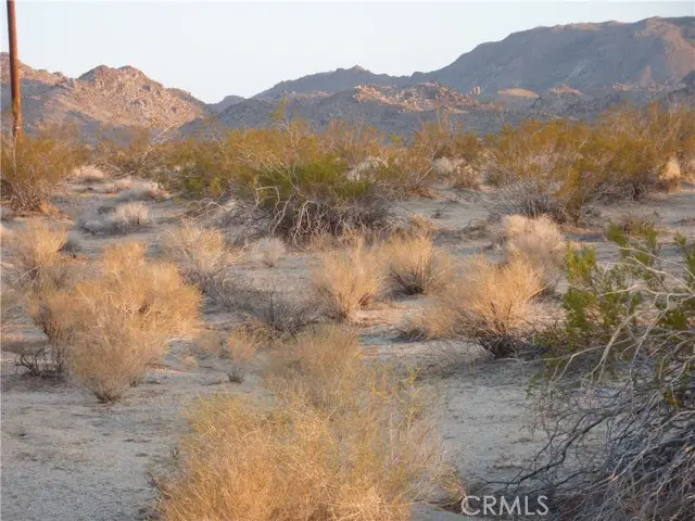 774 Manzanita Road, Landers, CA 92285 - #3