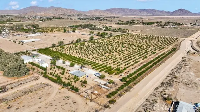 10099 Highland Avenue, Lucerne Valley, CA 92356 - Image #2